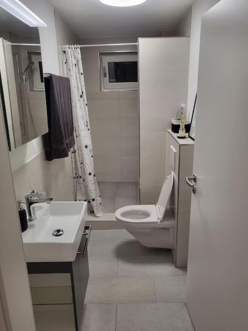 Schoene Einliegerwohnung 200M Vom Wasser Entfernt Штайн-на-Рейне Экстерьер фото